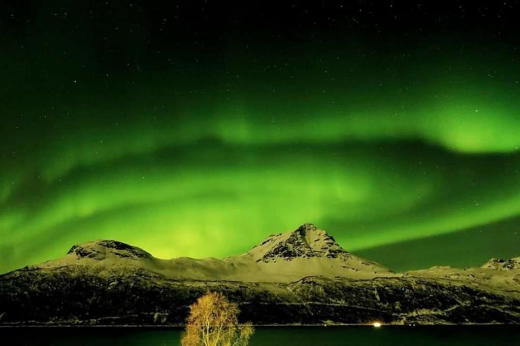 Norwegian Dream Apartman Gratangen Kültér fotó