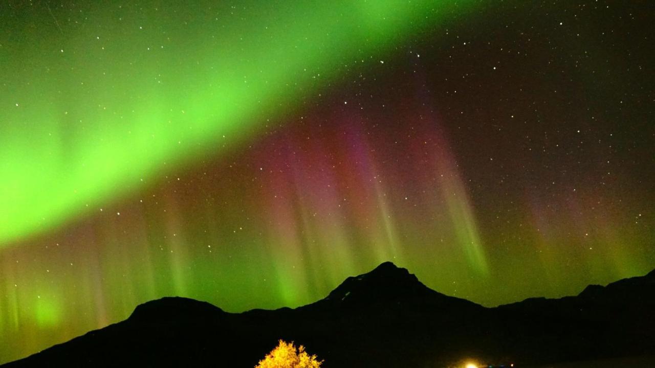 Norwegian Dream Apartman Gratangen Kültér fotó