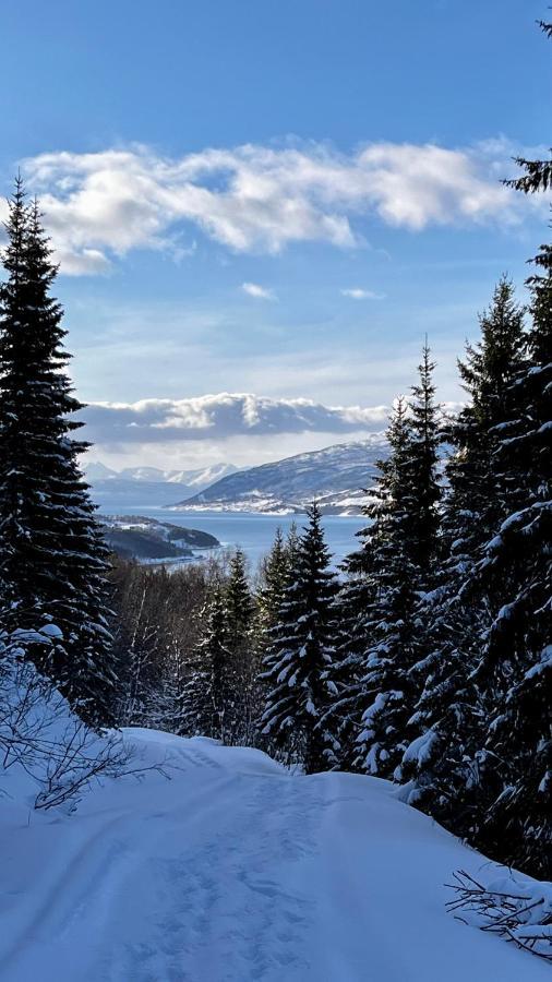 Norwegian Dream Apartman Gratangen Kültér fotó