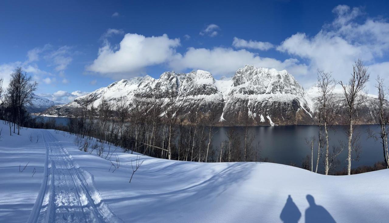 Norwegian Dream Apartman Gratangen Kültér fotó