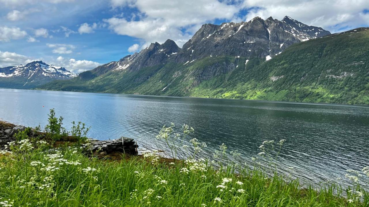 Norwegian Dream Apartman Gratangen Kültér fotó