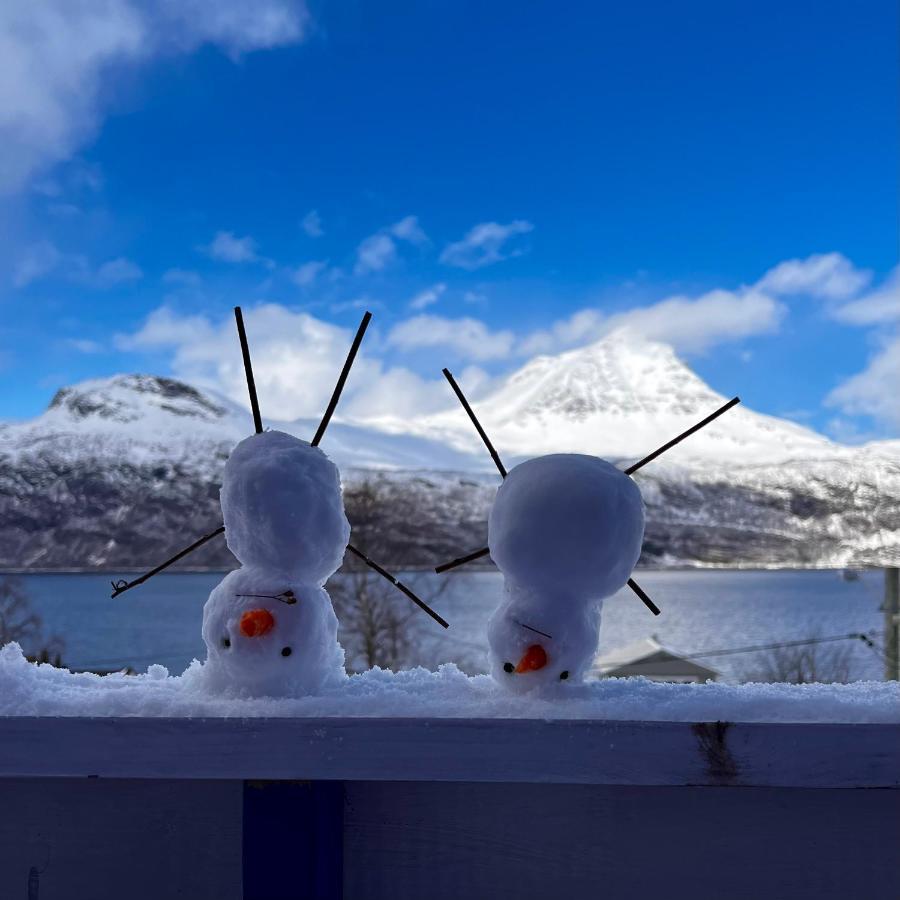 Norwegian Dream Apartman Gratangen Kültér fotó